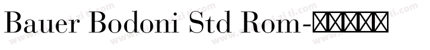 Bauer Bodoni Std Rom字体转换